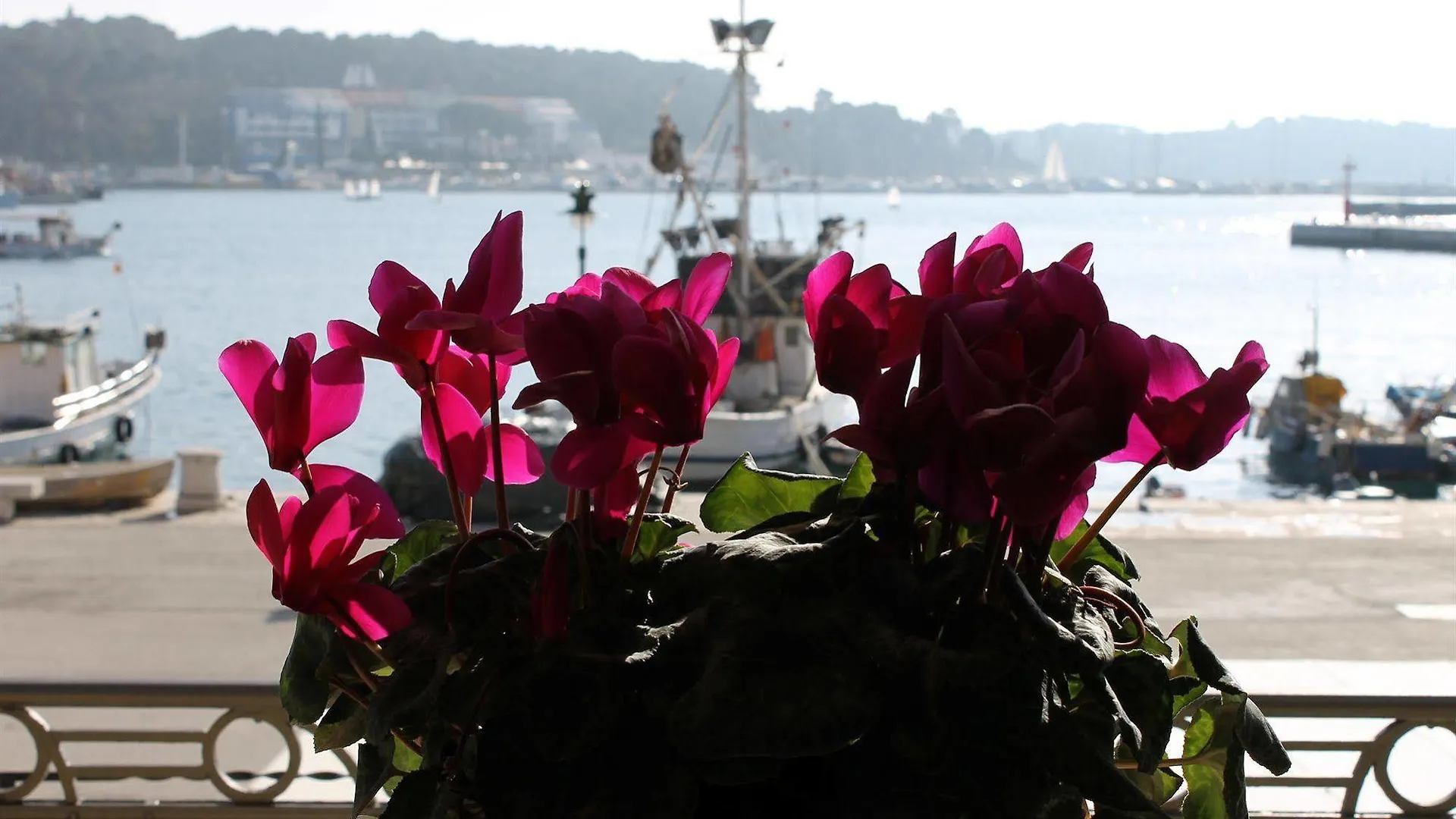 Residence Porta Antica Centro Storico Rovinj